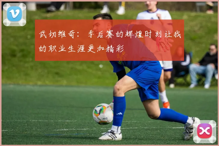 武切维奇：季后赛的辉煌时刻让我的职业生涯更加精彩